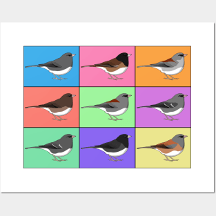 Warhol Birds - Dark-eyed junco Posters and Art